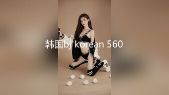 韩国bj korean 560