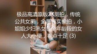 极品高清原版2K厕拍，传统公共女厕，全景真实偸拍，小姐姐少妇熟女各个年龄段的女人大小便，看点十足 (3)