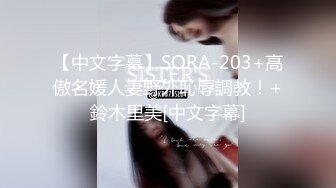 【中文字幕】SORA-203+高傲名媛人妻野外恥辱調教！+鈴木里美[中文字幕]