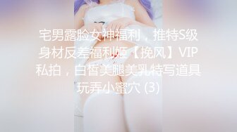 宅男露脸女神福利，推特S级身材反差福利姬【挽风】VIP私拍，白皙美腿美乳特写道具玩弄小蜜穴 (3)