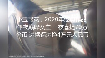 小宝寻花，2020年经典作品 午夜巅峰女主 一夜喜提70万金币 边操逼边挣4万元人民币