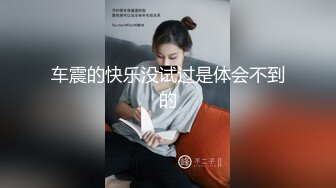 车震的快乐没试过是体会不到的