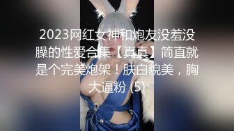 2023网红女神和炮友没羞没臊的性爱合集【真真】简直就是个完美炮架！肤白貌美，胸大逼粉 (5)