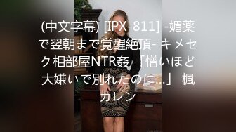 (中文字幕) [IPX-811] -媚薬で翌朝まで覚醒絶頂- キメセク相部屋NTR姦 「憎いほど大嫌いで別れたのに…」 楓カレン